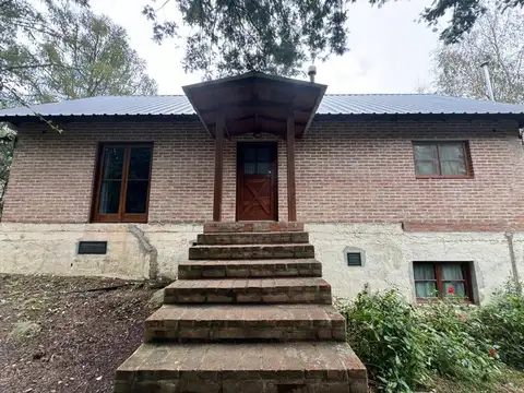 los liquidambares 100