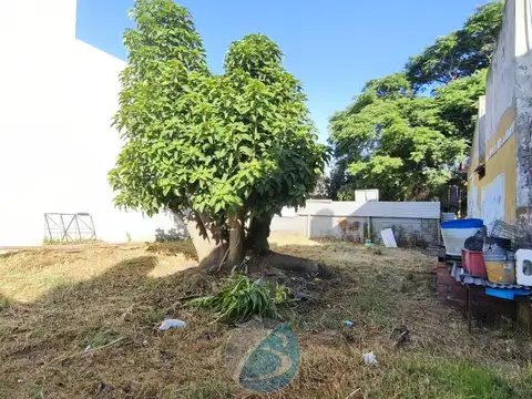 Terreno en Venta 18  mts Fondo