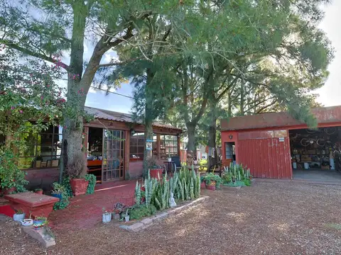 Ruta 7 General Aparicio Saravia