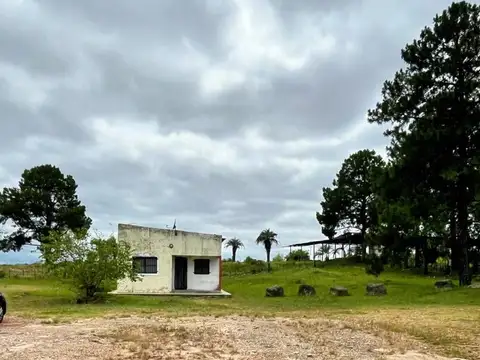 Casa en Alquiler de 2 dormitorios