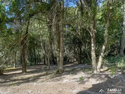 Terreno en Venta de 347,0 m2