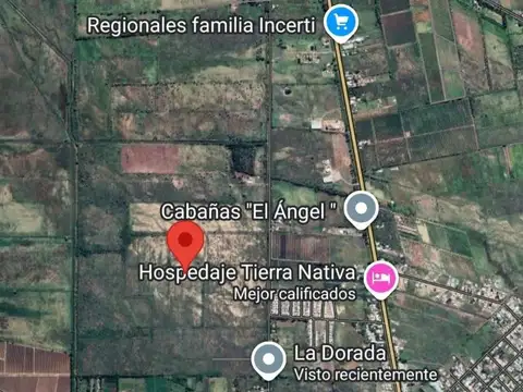 La Dorada