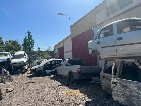 Ruta Provincial 50 1000