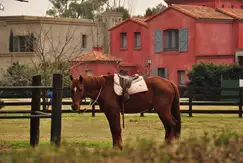 Actividades deportivas futbol, voley, golf, tenis, rugby, hockey, equitacion en el Country Club, Newman Club