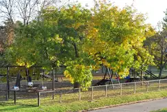 Newman Club - Foto 8