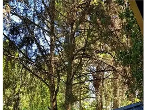 Casa 7 ambientes con 3 baños