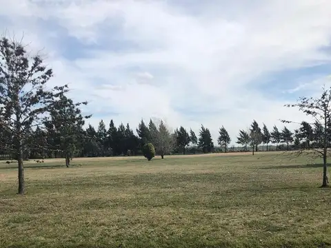 Fincas de San Vicente Golf de 2360,00 m2