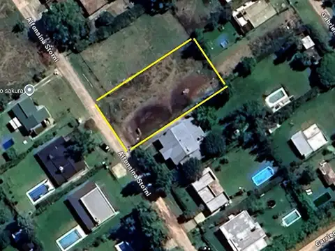 SAKURA - Alfonsina Storni s/n