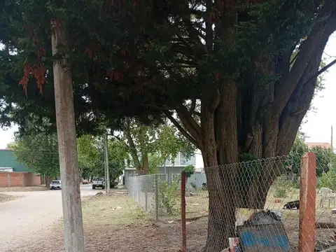 Libres del Sur esquina Sacconi
