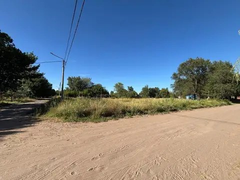 Juan de Dios Filiberto y Tito Fuertes