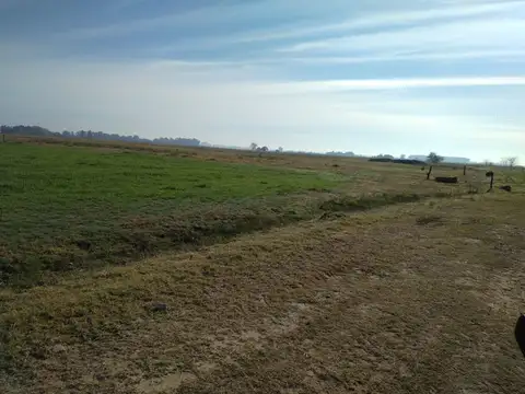 Campo en Venta Mixto