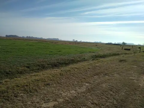 Campo en Venta con Alambrado