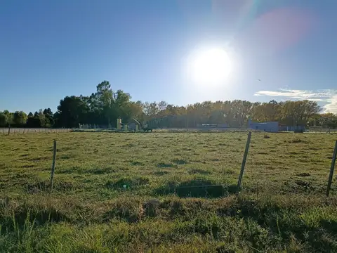 LOTE EN VENTA ZONA PALO DE COLORES OLAVARRIA