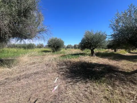 TERRENO EN VENTA DE 4,496,88 m2 EN RUSSELL, MAIPÚ