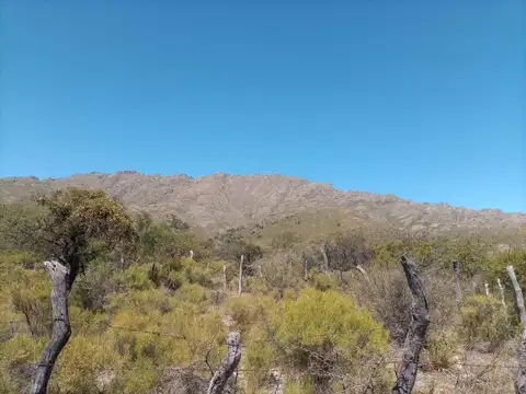 Terreno en Venta de 11000,0 m2