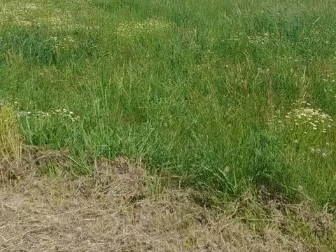 El Malacate, Countries y Barrios Cerrados en Exaltacion De La Cruz