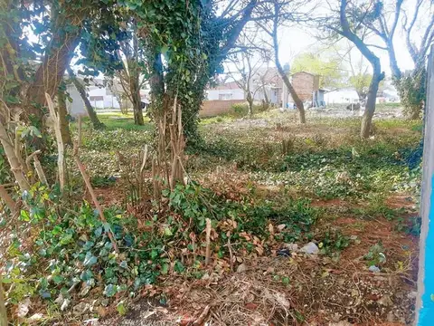 Terreno en Venta 10  mts Frente