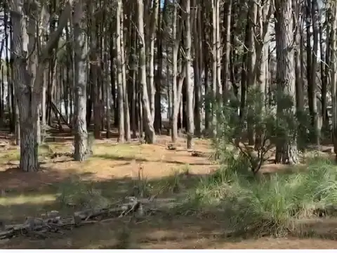 Terreno en Venta de 1063,0 m2