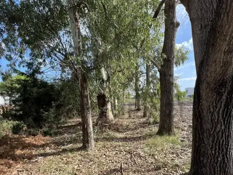 Terreno en Venta de 942,0 m2