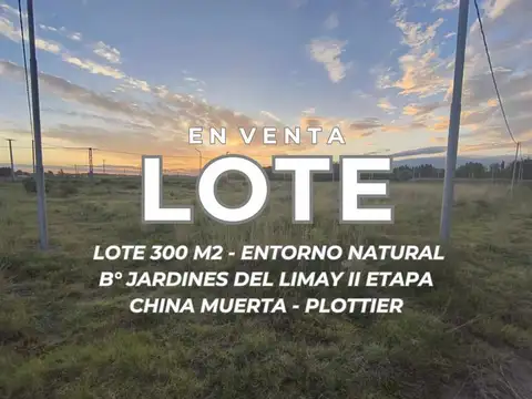 VENTA LOTE B°JARDINES DEL LIMAY CHINA MUERTA