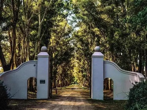 VENTA DE LOTE CHACRAS DE SAN ANDRES/LA MONTURA