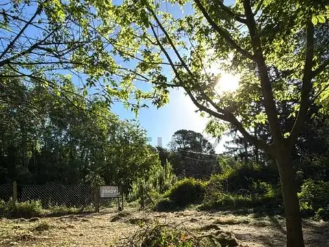 VENTA LOTE 654M2 SIERRA DE LOS PADRES