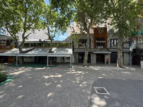 excelente local comercial gastronomico fte a plaza serrano