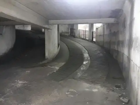 Inte Ernesto Grant 100