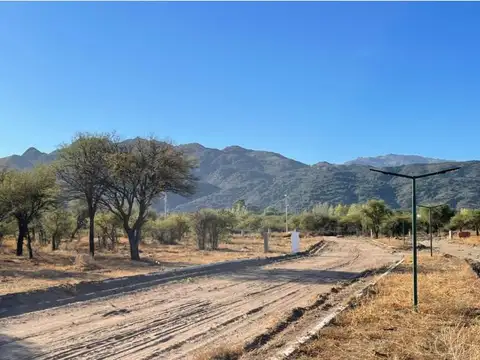 Terreno en Venta 36  mts Fondo