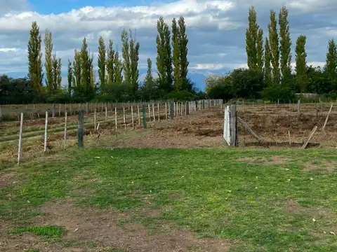 Campo en Venta Ganadero