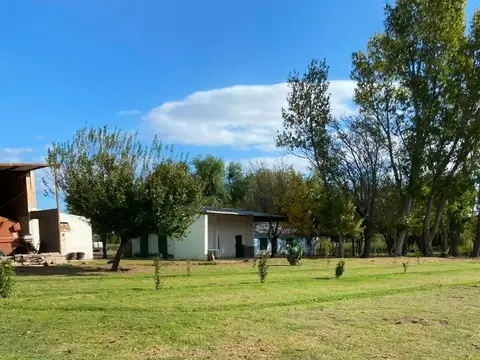 Ruta 307