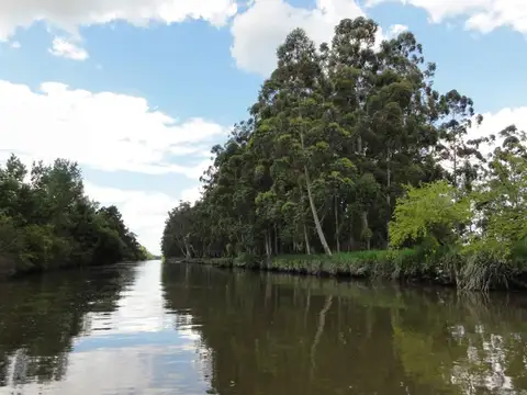 Autopista del Sol,Ramal N° 9, Km. 60.5