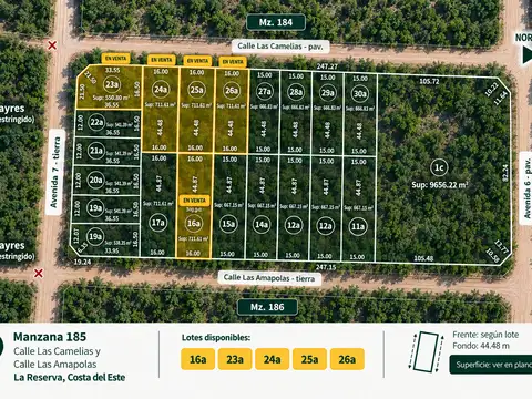 EXCLUSIVO LOTE SOBRE LA RESERVA COSTA DEL ESTE (160817).