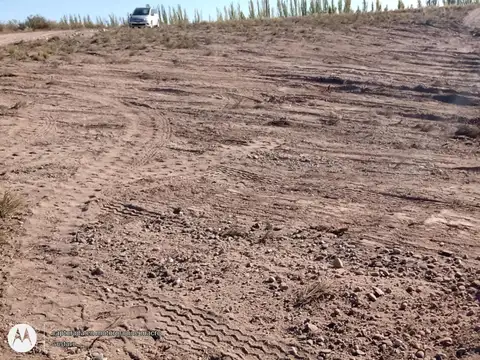 La Loma 100