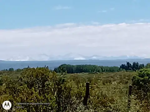 Terreno en Venta en Cuadro Benegas, San Rafael