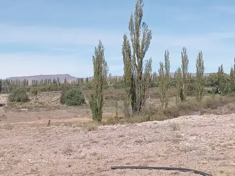 VENTA FINCA CON GALPON CUADRO BENEGAS SAN RAFAEL