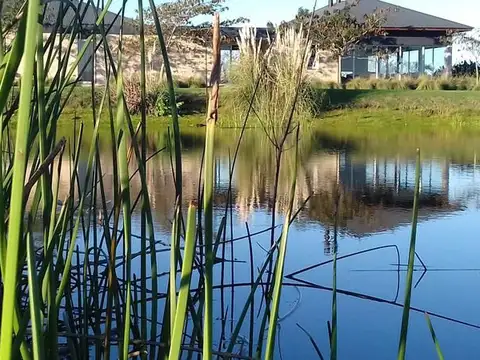 Terreno en Venta de 994,0 m2