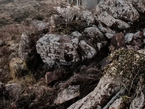 VENTA CHACRA DE 5 HA MINAS LUZ AGUA HERMOSA VISTA