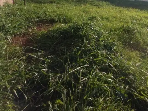 EXCELENTE TERRENO EN VENTA SOBRE AVENIDA