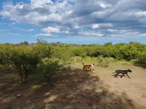 Camino Público S 307 Ciénaga de Allende