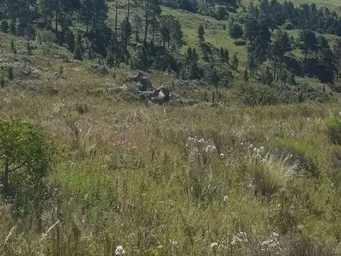 VENTA LOTE DE 1944 M2 EXC. ZONA VILLA YACANTO