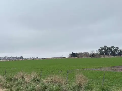CAMPO EN VENTA EN BRAGADO