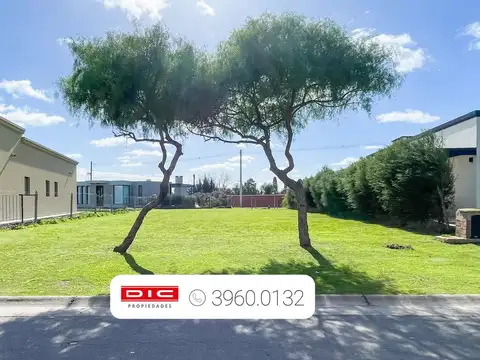Terreno Venta - Pilar Del Este