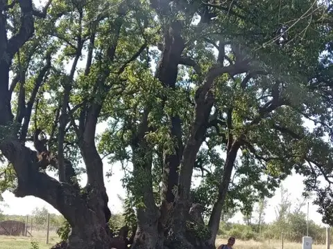 34°47'24.5"S 58°40'32.8"W