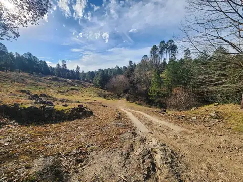 VENTA 19.8HA CON 3 CABAÑAS Y ARROYO EL DURAZNO CBA