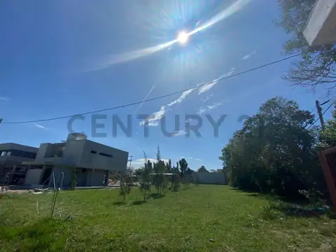 141 entre 515 y 517 , Piso 0