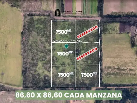 PAZ SOLDAN 2200