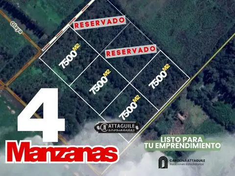PAZ SOLDAN 2200