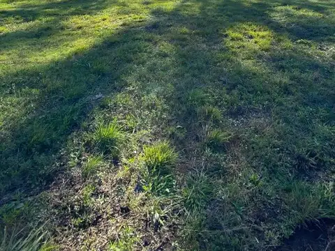 Terreno en Venta en Pilar Del Este - Santa Sofia, USD 25.000