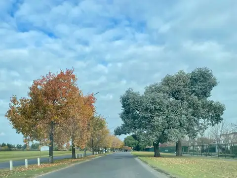 Terreno en Venta de 508,0 m2